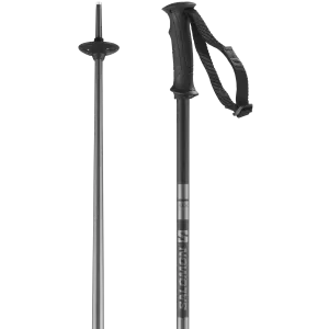 ARCTIC SKI POLES