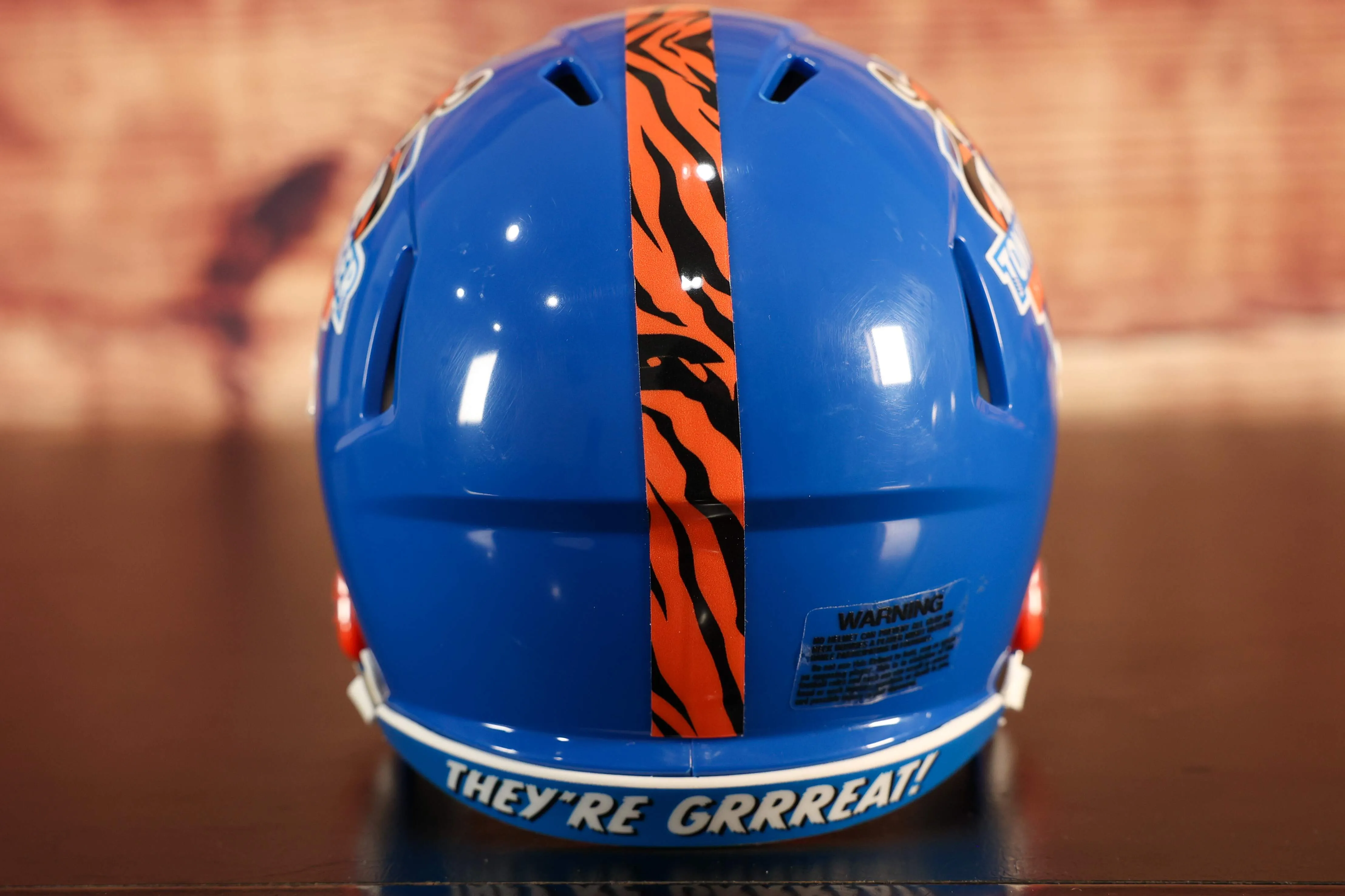 Custom Mini Helmet - Tony The Tiger Sun Bowl