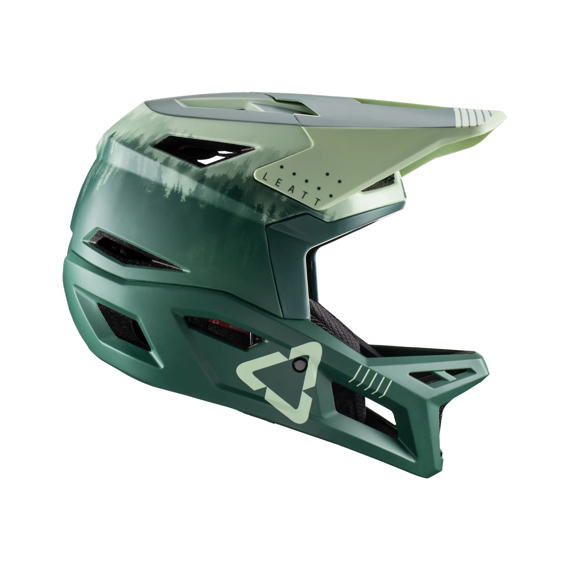 Leatt MTB 4.0 Full Face Helmet - Ivy - 2022