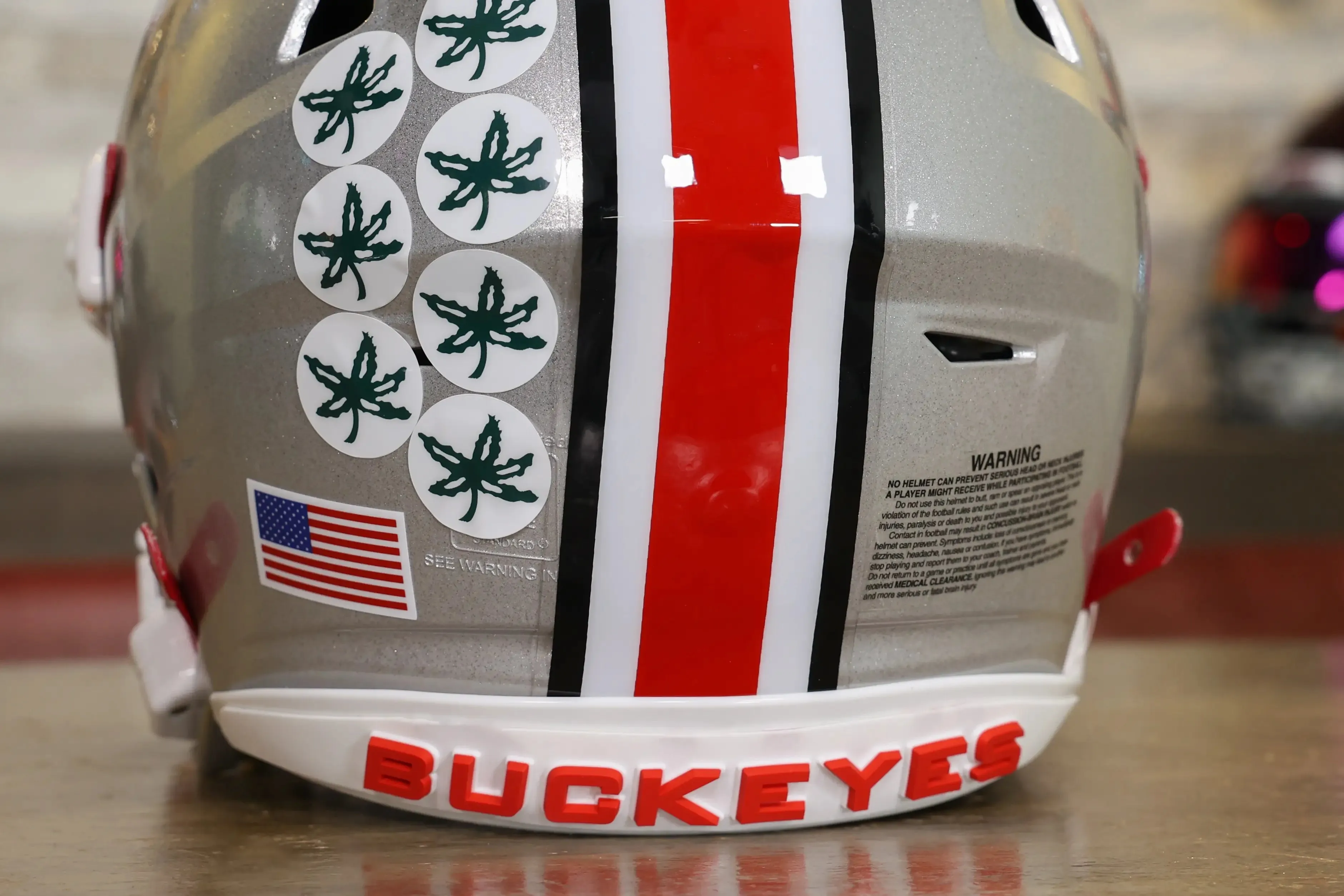 Ohio State Buckeyes Riddell SpeedFlex Helmet - GG Edition 02527